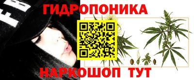 ECSTASY Лесосибирск