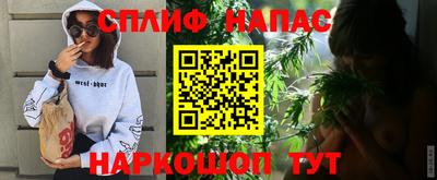 гашик Ливны