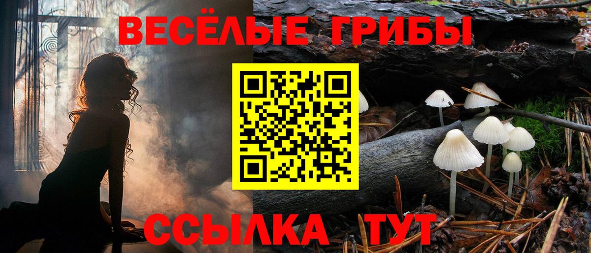 Галлюциногенные грибы Psilocybe  Вход с VPN  Тюмень 